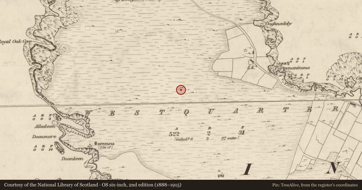 Ordnance Survey six-inch map, 2nd edition (1888–1915) covering the location of Field system, Westquarter, County Galway, with a pin at the register's coordinates