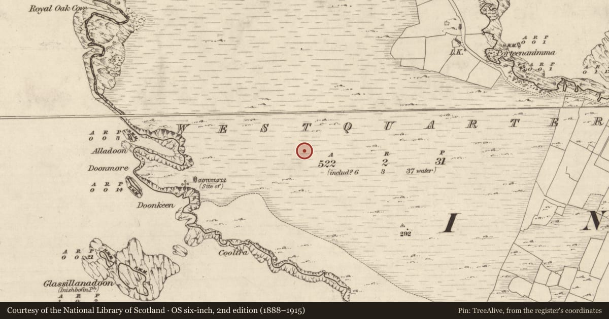 Ordnance Survey six-inch map, 2nd edition (1888–1915) covering the location of House - indeterminate date, Westquarter, County Galway, with a pin at the register's coordinates
