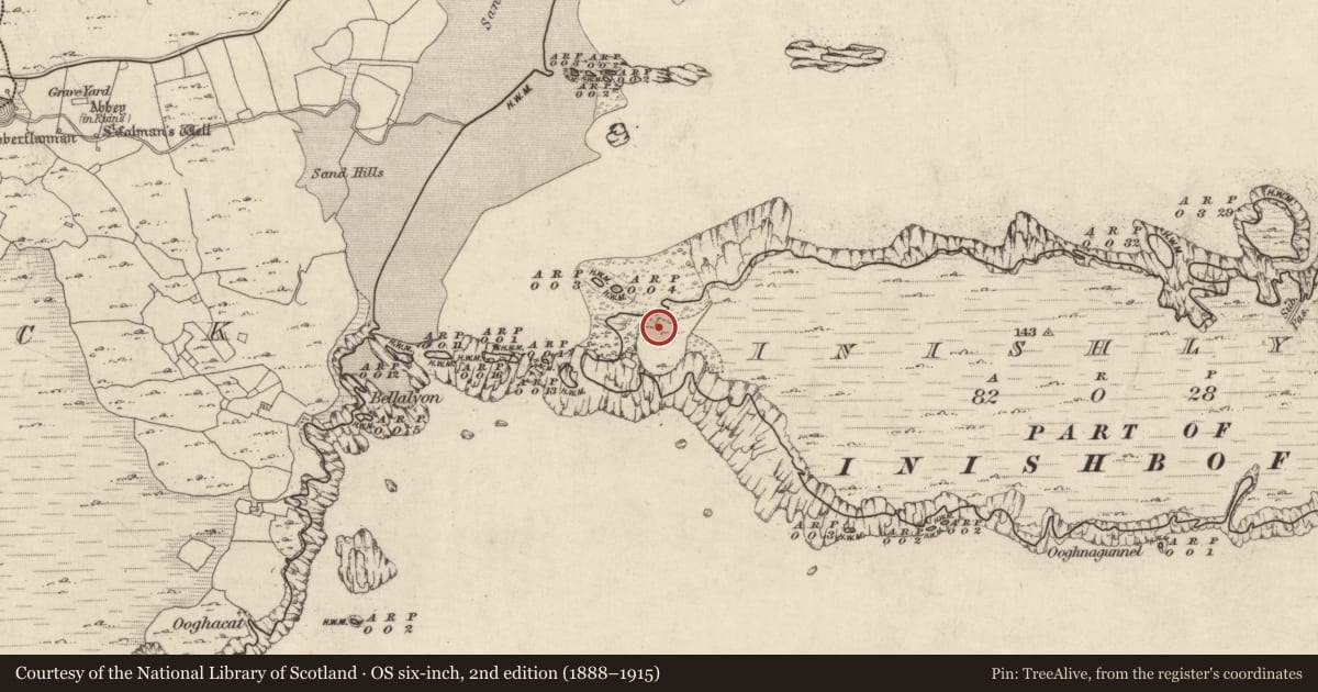Ordnance Survey six-inch map, 2nd edition (1888–1915) covering the location of House - indeterminate date, Inishlyon, County Galway, with a pin at the register's coordinates