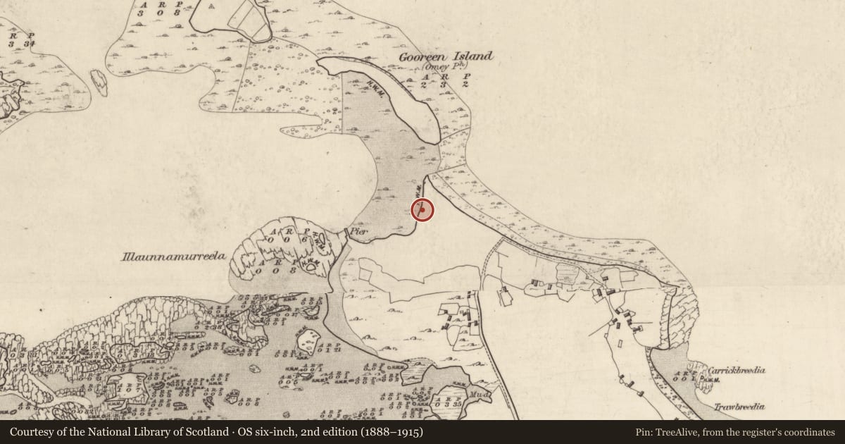 Ordnance Survey six-inch map, 2nd edition (1888–1915) covering the location of Midden, Rossadillisk, County Galway, with a pin at the register's coordinates