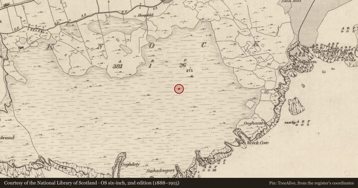 Ordnance Survey six-inch map, 2nd edition (1888–1915) covering the location of House - prehistoric, Knock (Inishbofin Par.), County Galway, with a pin at the register's coordinates