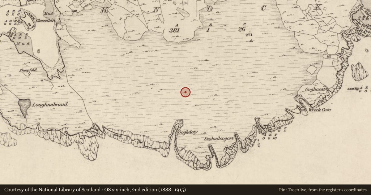 Ordnance Survey six-inch map, 2nd edition (1888–1915) covering the location of House - prehistoric, Knock (Inishbofin Par.), County Galway, with a pin at the register's coordinates