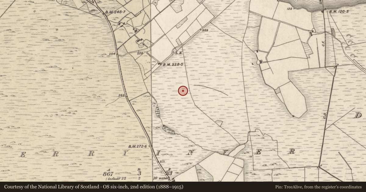 Ordnance Survey six-inch map, 2nd edition (1888–1915) covering the location of Anomalous stone group, Derryinver, County Galway, with a pin at the register's coordinates