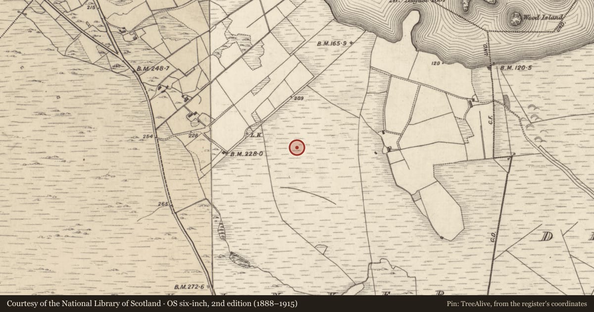 Ordnance Survey six-inch map, 2nd edition (1888–1915) covering the location of Enclosure, Derryinver, County Galway, with a pin at the register's coordinates