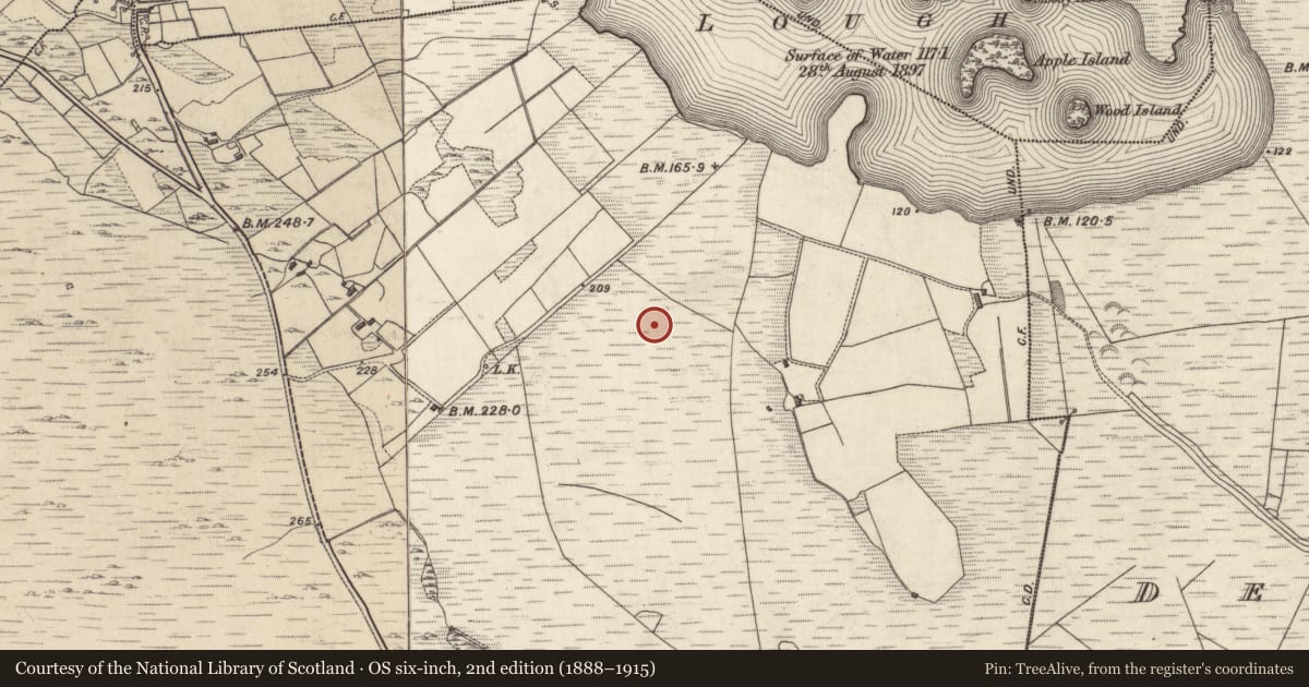 Ordnance Survey six-inch map, 2nd edition (1888–1915) covering the location of Field system, Derryinver, County Galway, with a pin at the register's coordinates