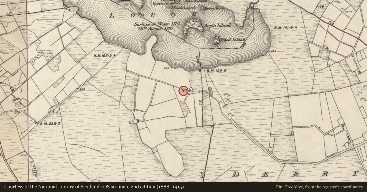 Ordnance Survey six-inch map, 2nd edition (1888–1915) covering the location of Cist, Derryinver, County Galway, with a pin at the register's coordinates