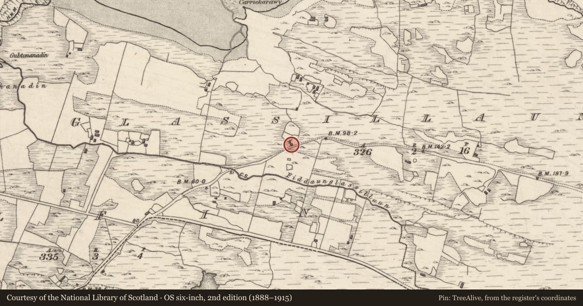 Ordnance Survey six-inch map, 2nd edition (1888–1915) covering the location of Font, Glassillaun, County Galway, with a pin at the register's coordinates