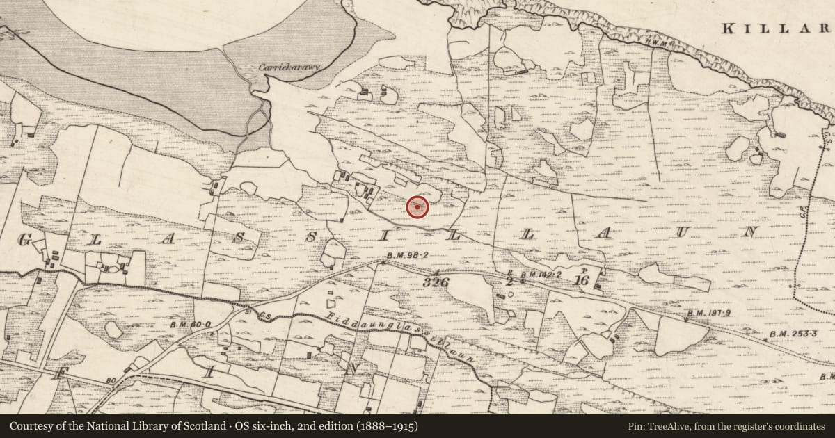 Ordnance Survey six-inch map, 2nd edition (1888–1915) covering the location of Mass-rock, Glassillaun, County Galway, with a pin at the register's coordinates
