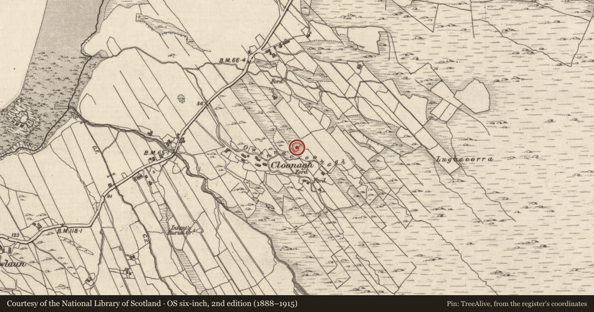 Ordnance Survey six-inch map, 2nd edition (1888–1915) covering the location of Ringfort - cashel, Lettergesh East, County Galway, with a pin at the register's coordinates