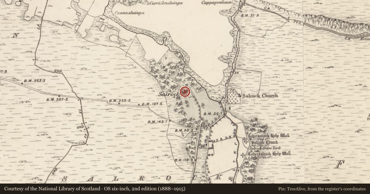 Ordnance Survey six-inch map, 2nd edition (1888–1915) covering the location of Country house, Salrock, County Galway, with a pin at the register's coordinates