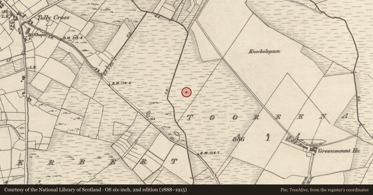 Ordnance Survey six-inch map, 2nd edition (1888–1915) covering the location of Megalithic tomb - unclassified, Tooreena, County Galway, with a pin at the register's coordinates