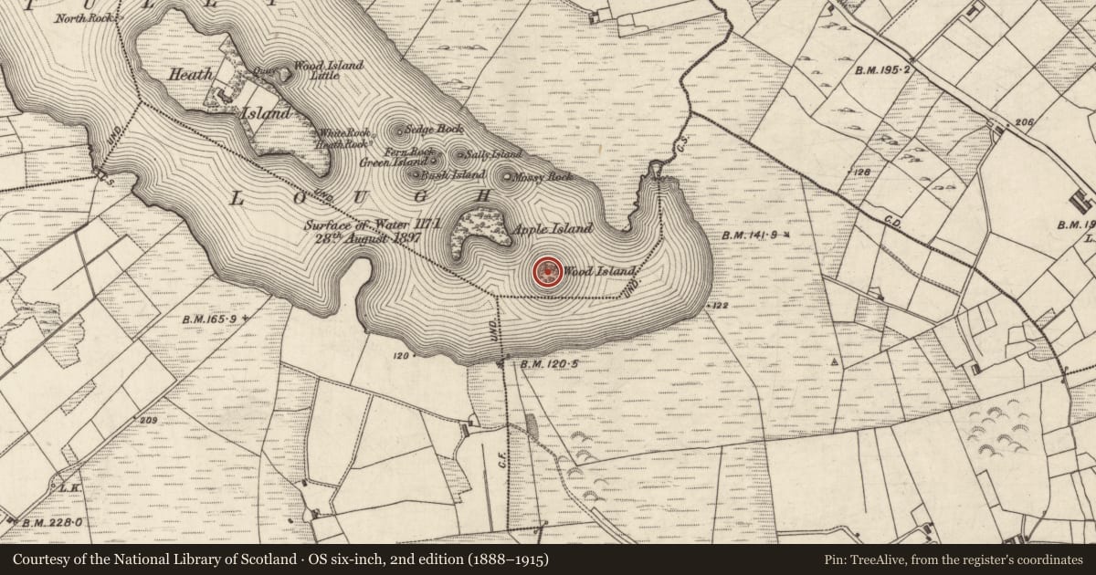 Ordnance Survey six-inch map, 2nd edition (1888–1915) covering the location of Ringfort - cashel, Tully More, County Galway, with a pin at the register's coordinates