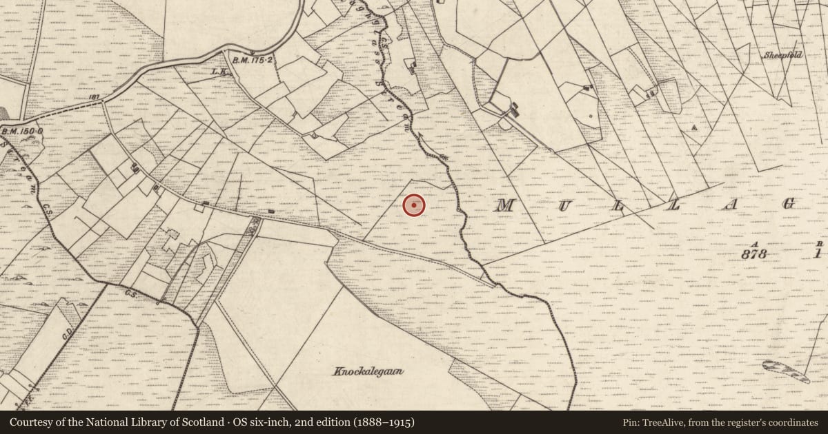 Ordnance Survey six-inch map, 2nd edition (1888–1915) covering the location of Enclosure, Tooreena, County Galway, with a pin at the register's coordinates