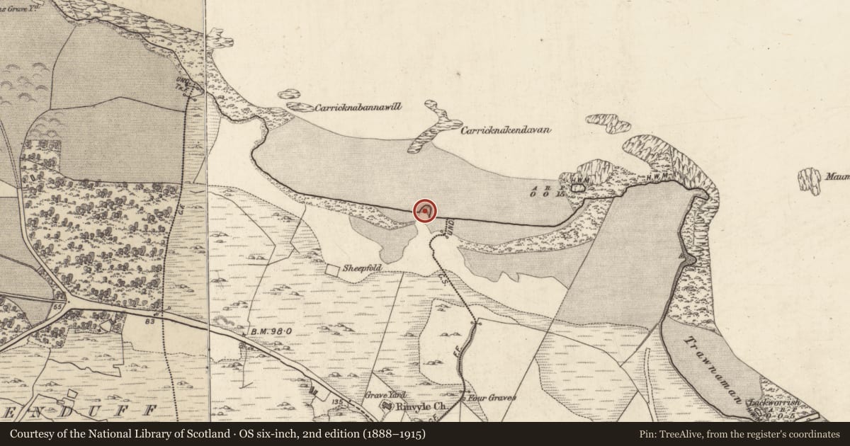 Ordnance Survey six-inch map, 2nd edition (1888–1915) covering the location of Midden, Tully Beg, County Galway, with a pin at the register's coordinates