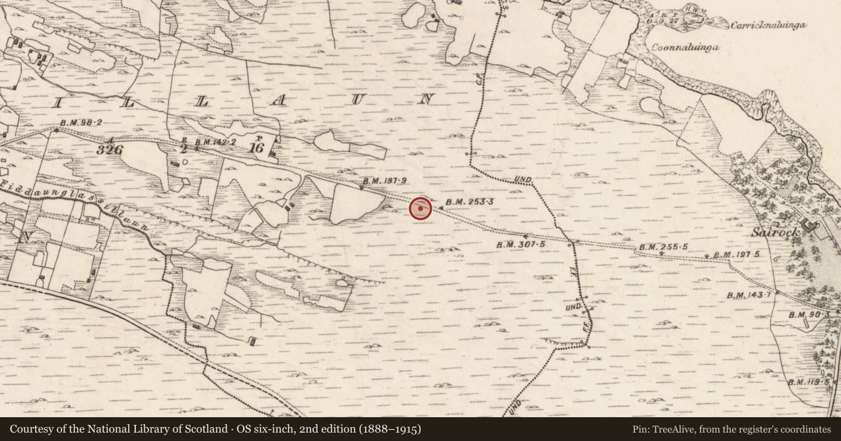 Ordnance Survey six-inch map, 2nd edition (1888–1915) covering the location of Cairn - wayside cairn, Glassillaun, County Galway, with a pin at the register's coordinates
