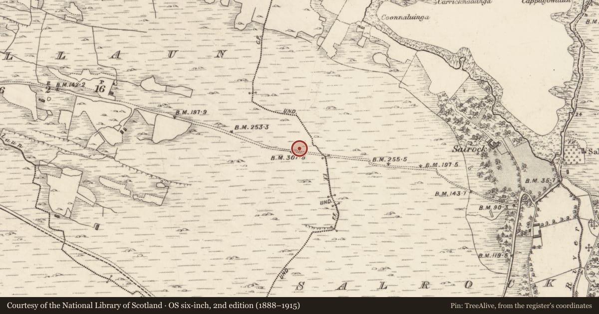 Ordnance Survey six-inch map, 2nd edition (1888–1915) covering the location of Cairn - wayside cairn, Glassillaun, County Galway, with a pin at the register's coordinates