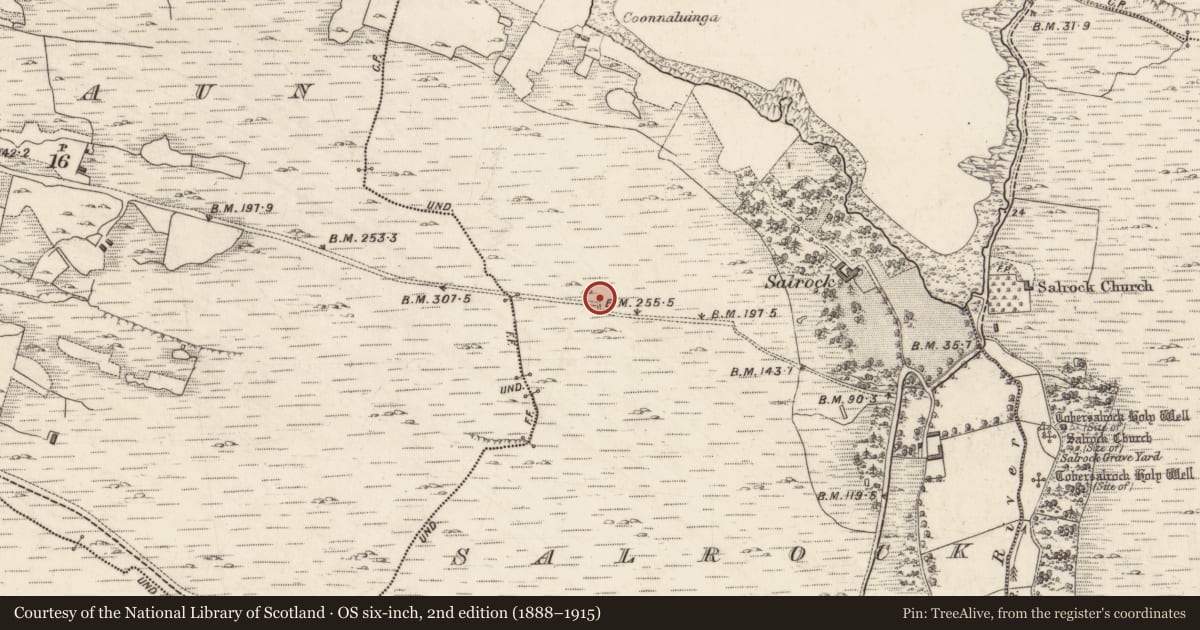 Ordnance Survey six-inch map, 2nd edition (1888–1915) covering the location of Cairn - wayside cairn, Salrock, County Galway, with a pin at the register's coordinates