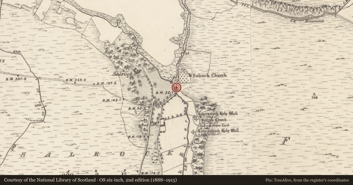 Ordnance Survey six-inch map, 2nd edition (1888–1915) covering the location of Cairn - wayside cairn, Foher, County Galway, with a pin at the register's coordinates