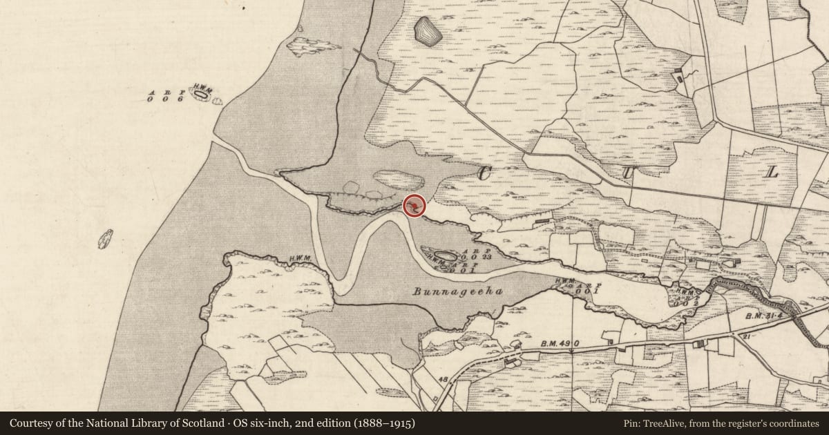 Ordnance Survey six-inch map, 2nd edition (1888–1915) covering the location of Midden, Culfin, County Galway, with a pin at the register's coordinates