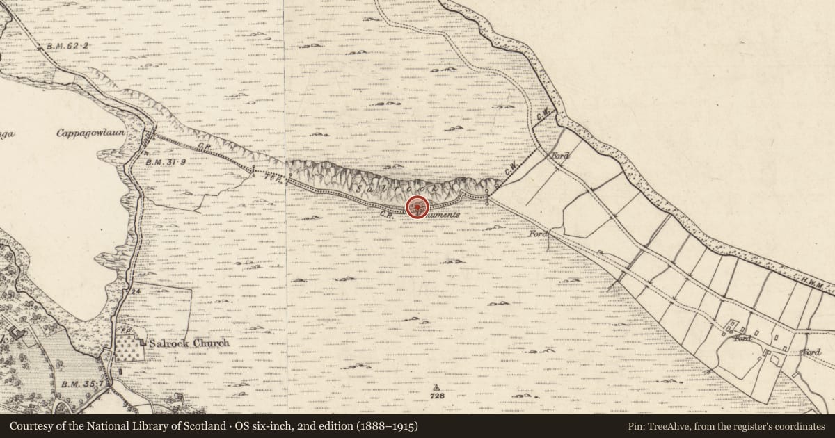 Ordnance Survey six-inch map, 2nd edition (1888–1915) covering the location of Cairn - wayside cairn, Rosroe (Ballynakill Par.), County Galway, with a pin at the register's coordinates