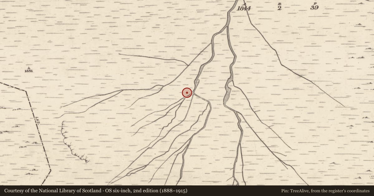 Ordnance Survey six-inch map, 2nd edition (1888–1915) covering the location of Megalithic tomb - unclassified, Leenaun, County Galway, with a pin at the register's coordinates