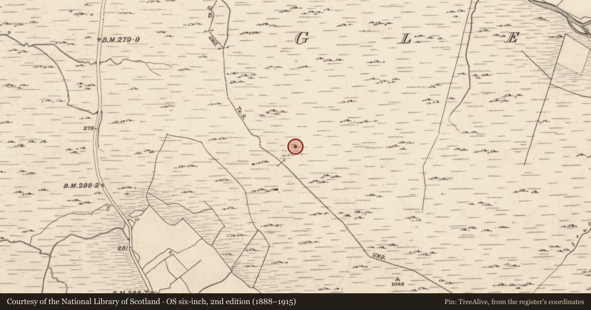 Ordnance Survey six-inch map, 2nd edition (1888–1915) covering the location of Ringfort - cashel, Glencraff, County Galway, with a pin at the register's coordinates
