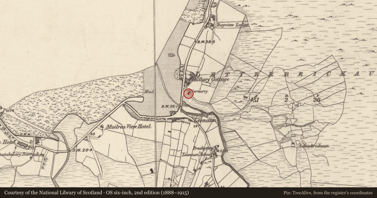Ordnance Survey six-inch map, 2nd edition (1888–1915) covering the location of Ritual site - holy well, Letterbrickaun, County Galway, with a pin at the register's coordinates