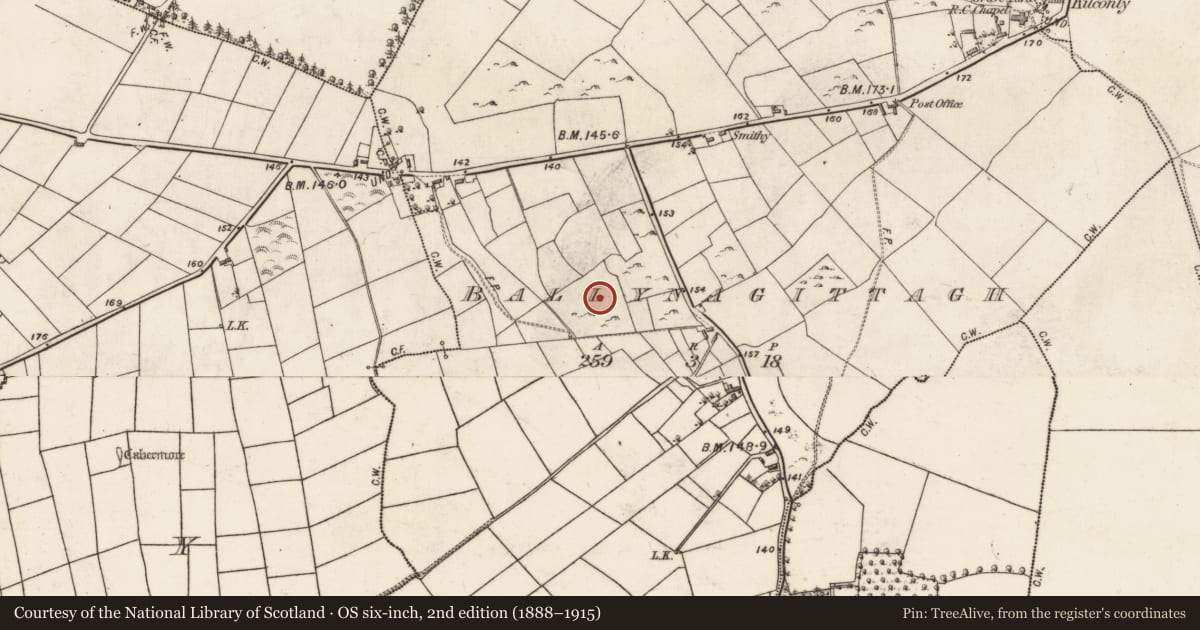 Ordnance Survey six-inch map, 2nd edition (1888–1915) covering the location of Field system, Ballynagittagh, County Galway, with a pin at the register's coordinates