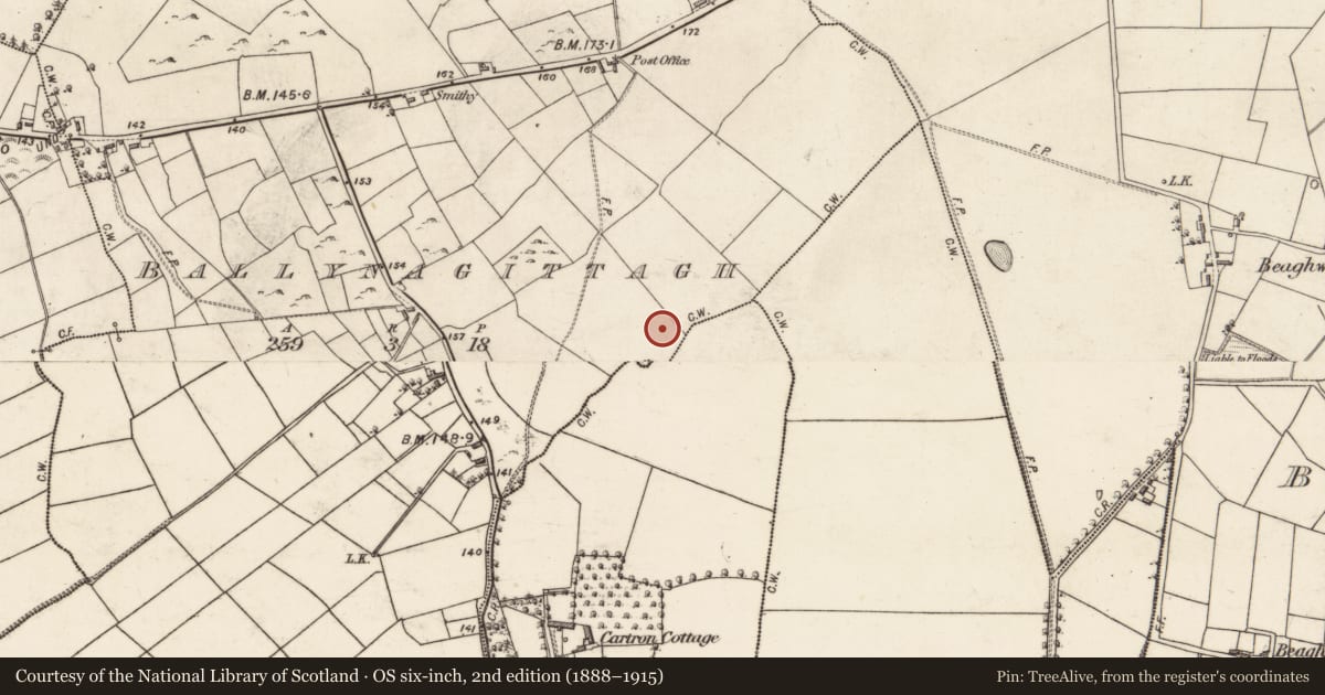 Ordnance Survey six-inch map, 2nd edition (1888–1915) covering the location of Enclosure, Ballynagittagh, County Galway, with a pin at the register's coordinates