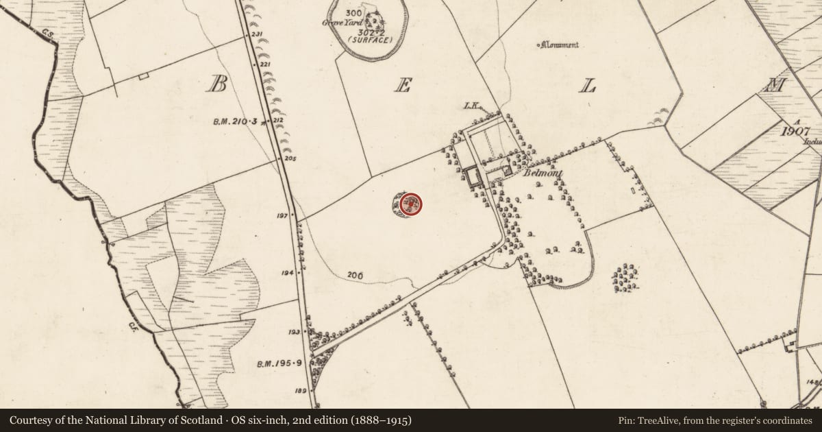 Ordnance Survey six-inch map, 2nd edition (1888–1915) covering the location of Ringfort - cashel, Belmont, County Galway, with a pin at the register's coordinates