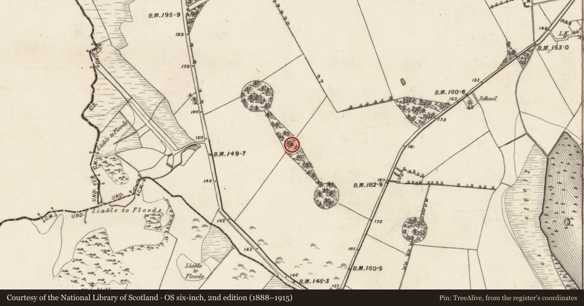 Ordnance Survey six-inch map, 2nd edition (1888–1915) covering the location of Designed landscape feature, Belmont, County Galway, with a pin at the register's coordinates