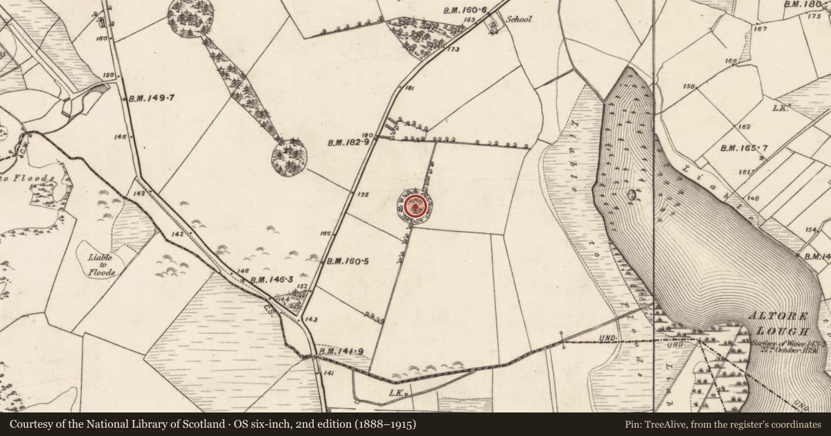 Ordnance Survey six-inch map, 2nd edition (1888–1915) covering the location of Designed landscape - folly, Belmont, County Galway, with a pin at the register's coordinates