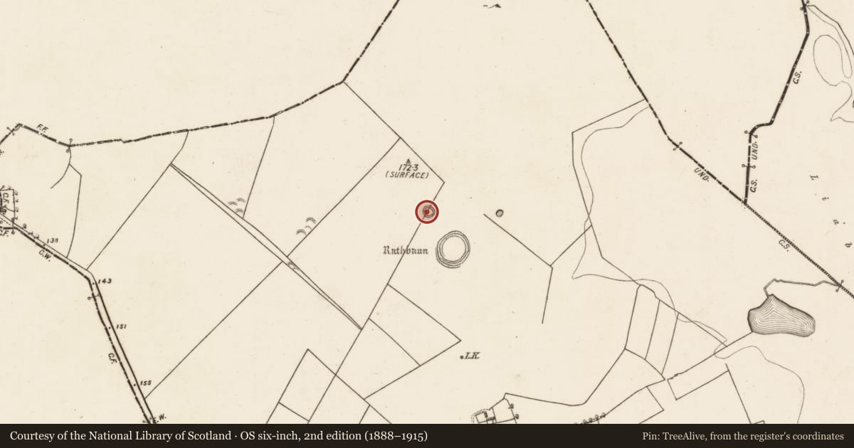 Ordnance Survey six-inch map, 2nd edition (1888–1915) covering the location of Ringfort - rath, Blindwell, County Galway, with a pin at the register's coordinates