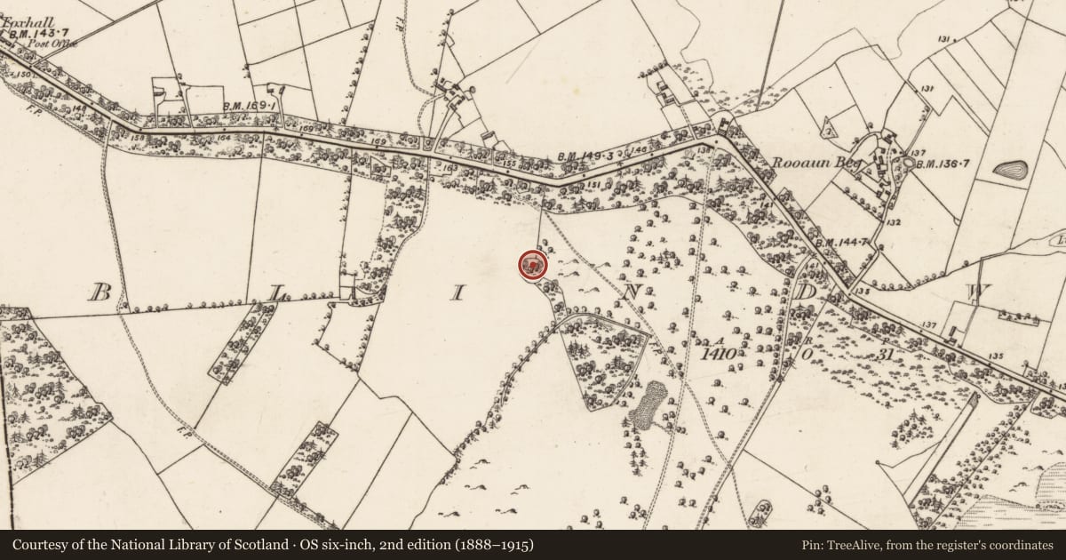 Ordnance Survey six-inch map, 2nd edition (1888–1915) covering the location of Ringfort - rath, Blindwell, County Galway, with a pin at the register's coordinates