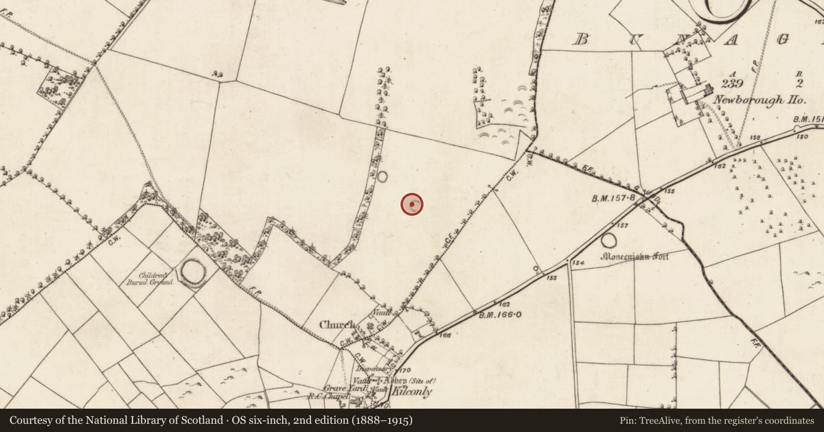 Ordnance Survey six-inch map, 2nd edition (1888–1915) covering the location of Enclosure, Blindwell, County Galway, with a pin at the register's coordinates
