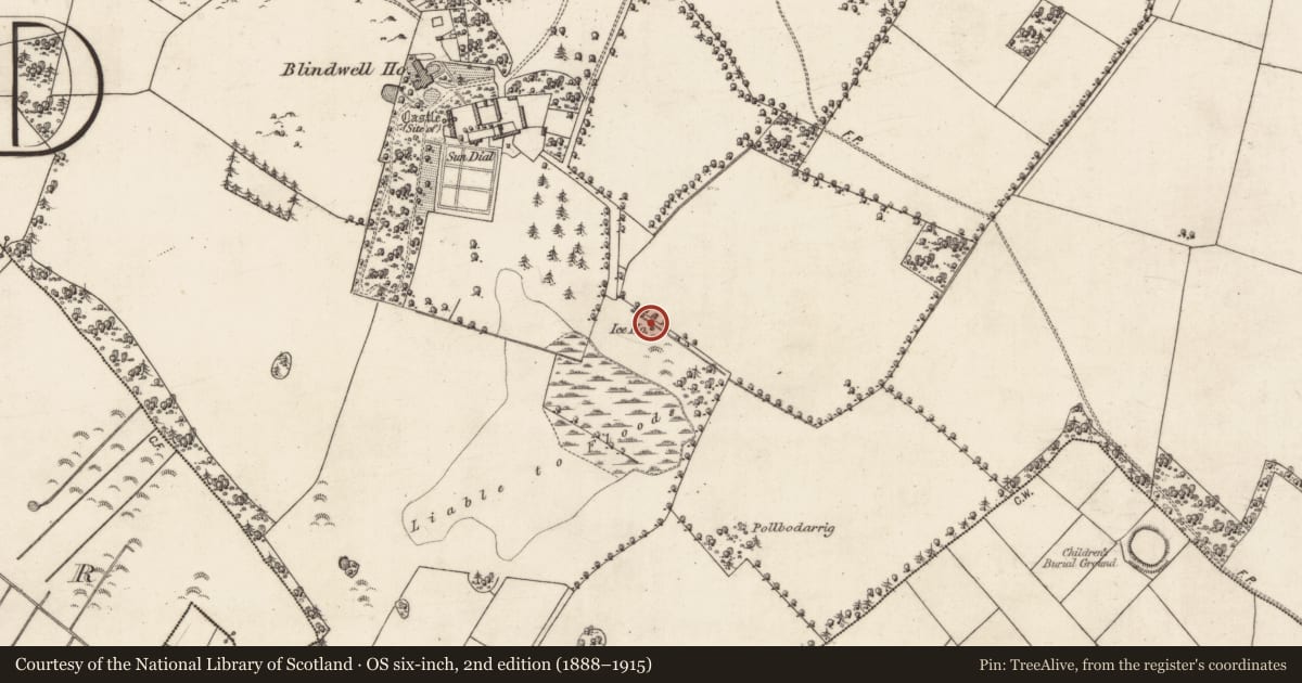 Ordnance Survey six-inch map, 2nd edition (1888–1915) covering the location of Icehouse, Blindwell, County Galway, with a pin at the register's coordinates