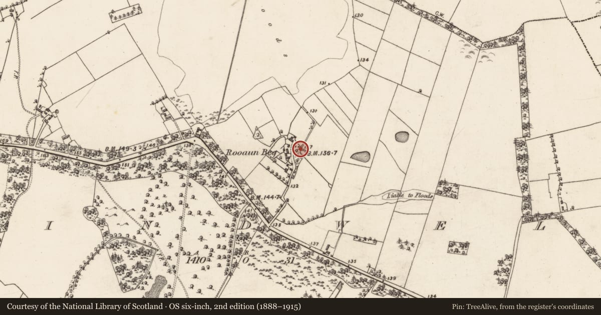 Ordnance Survey six-inch map, 2nd edition (1888–1915) covering the location of Enclosure, Blindwell, County Galway, with a pin at the register's coordinates
