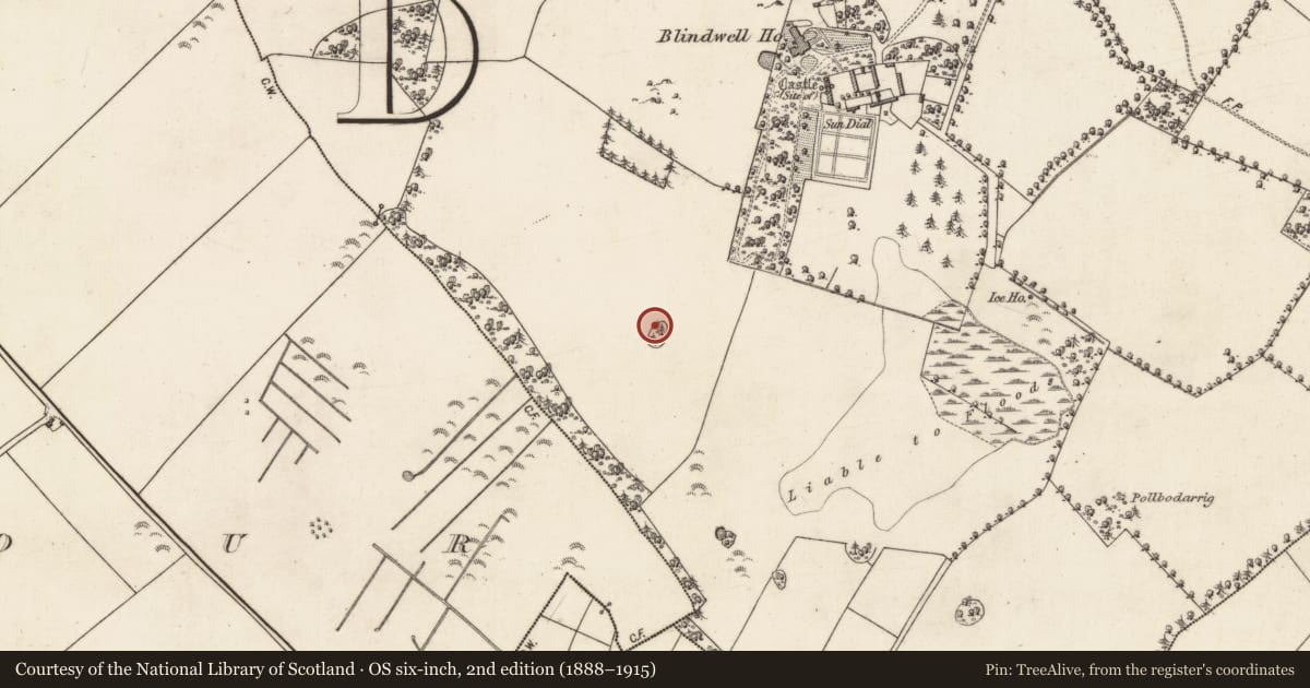 Ordnance Survey six-inch map, 2nd edition (1888–1915) covering the location of Designed landscape feature, Blindwell, County Galway, with a pin at the register's coordinates