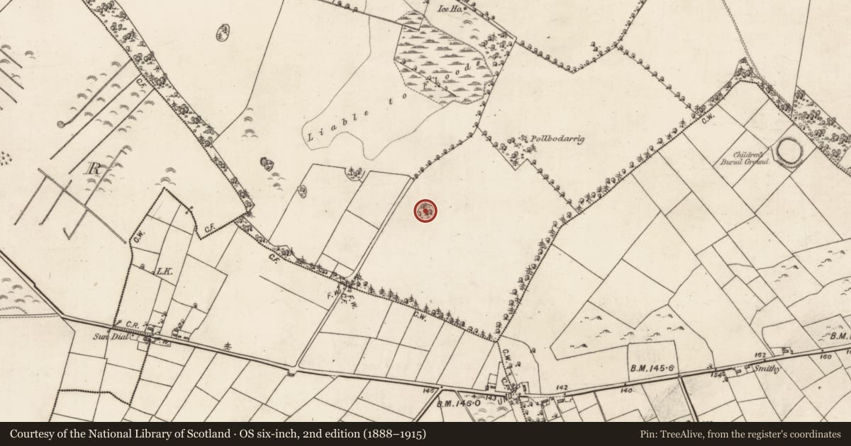 Ordnance Survey six-inch map, 2nd edition (1888–1915) covering the location of Designed landscape - tree-ring, Blindwell, County Galway, with a pin at the register's coordinates