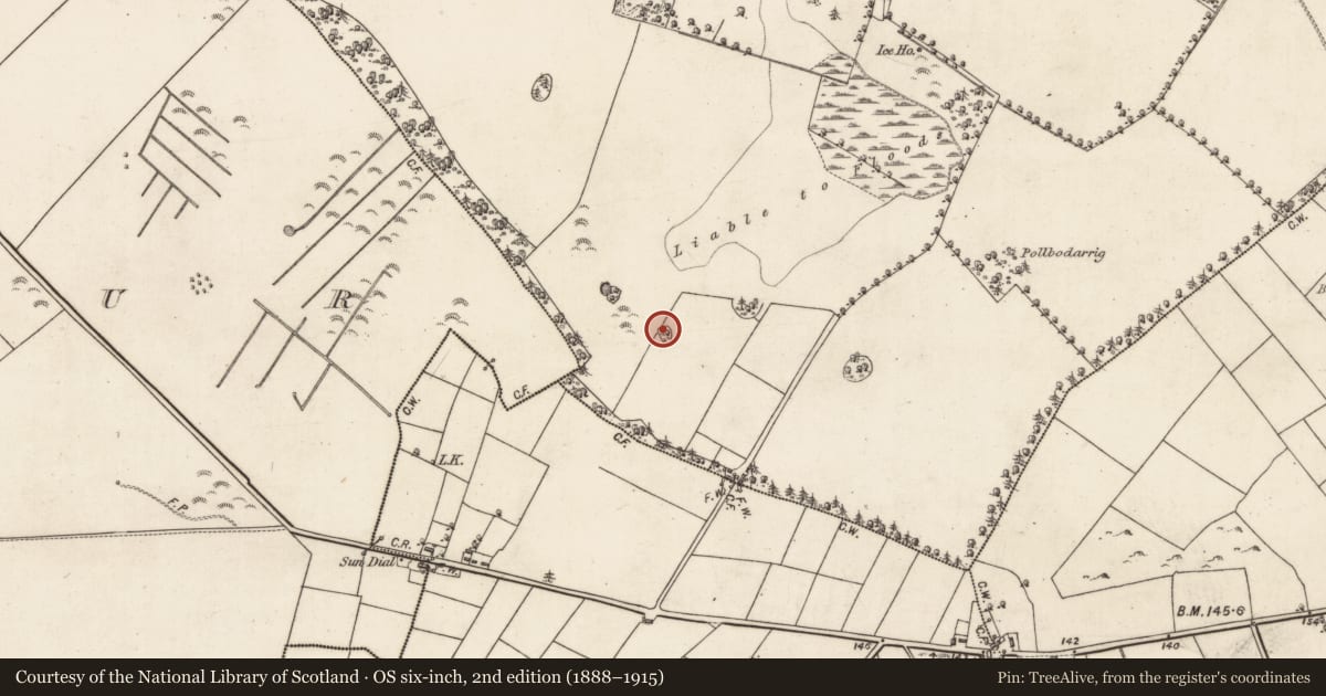 Ordnance Survey six-inch map, 2nd edition (1888–1915) covering the location of Designed landscape - tree-ring, Blindwell, County Galway, with a pin at the register's coordinates