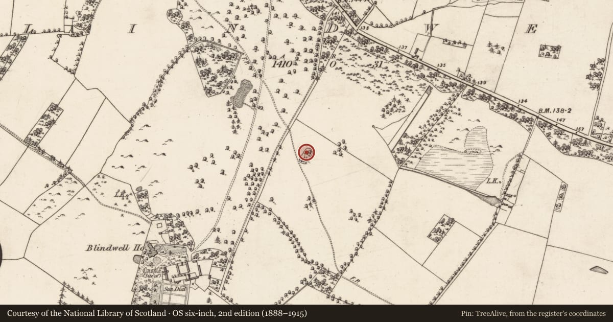 Ordnance Survey six-inch map, 2nd edition (1888–1915) covering the location of Designed landscape feature, Blindwell, County Galway, with a pin at the register's coordinates