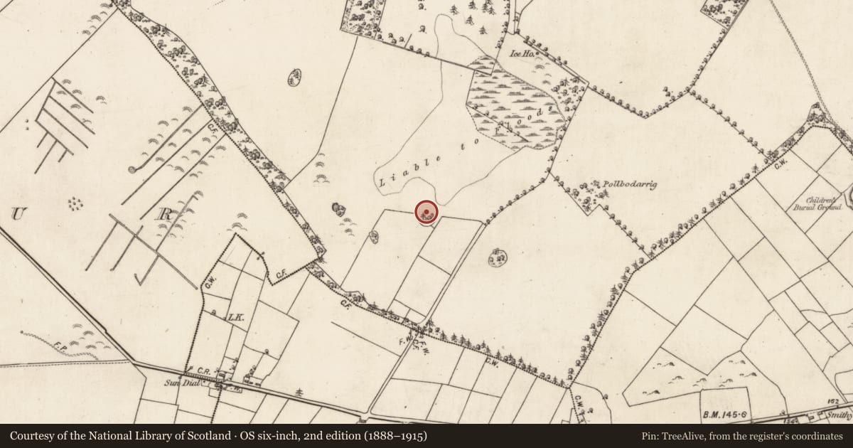 Ordnance Survey six-inch map, 2nd edition (1888–1915) covering the location of Ringfort - unclassified, Blindwell, County Galway, with a pin at the register's coordinates