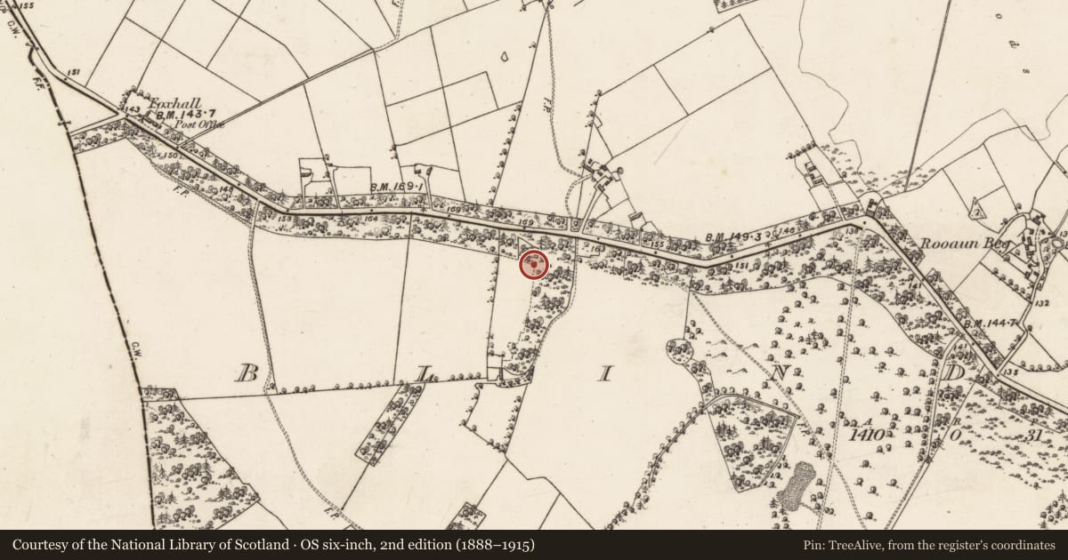 Ordnance Survey six-inch map, 2nd edition (1888–1915) covering the location of Enclosure, Blindwell, County Galway, with a pin at the register's coordinates