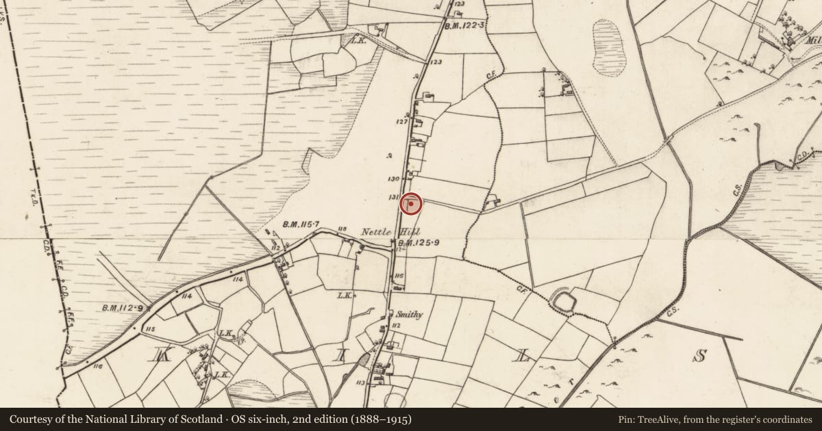 Ordnance Survey six-inch map, 2nd edition (1888–1915) covering the location of Ringfort - rath, Kilshanvy, County Galway, with a pin at the register's coordinates