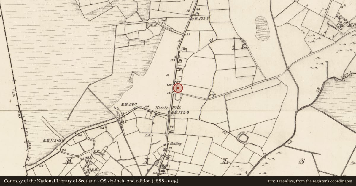 Ordnance Survey six-inch map, 2nd edition (1888–1915) covering the location of Ringfort - rath, Kilshanvy, County Galway, with a pin at the register's coordinates