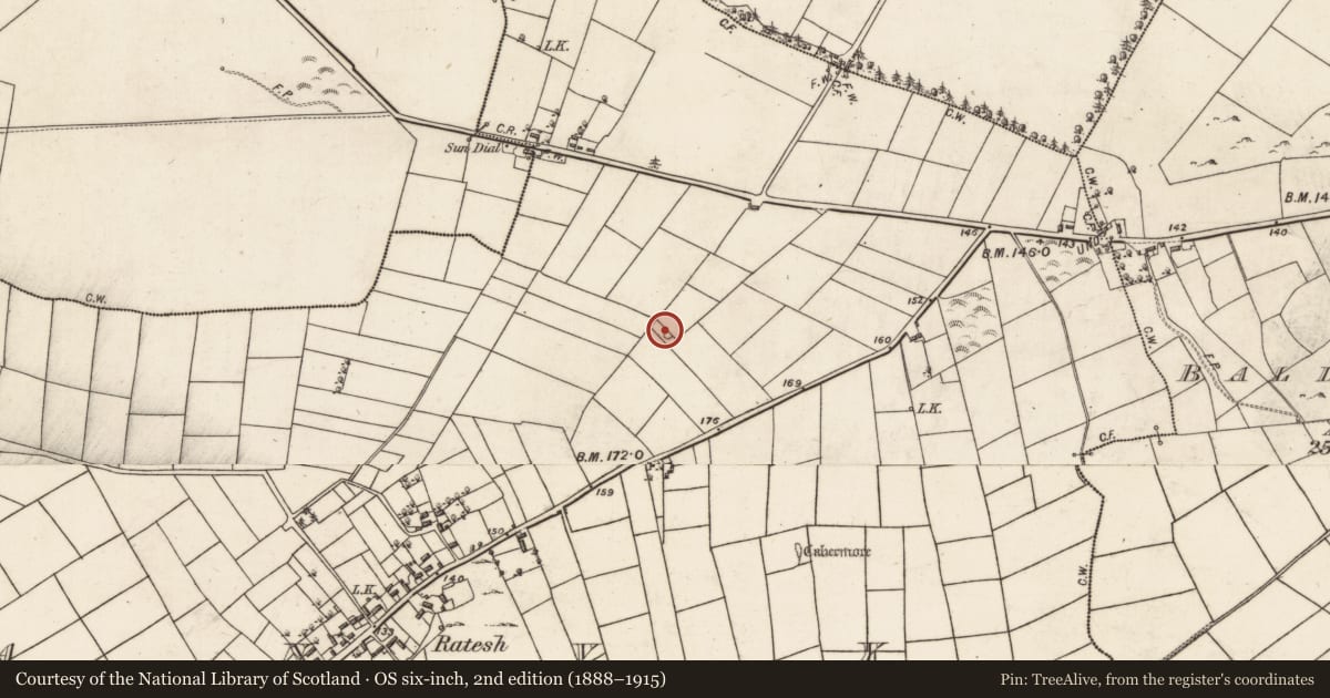 Ordnance Survey six-inch map, 2nd edition (1888–1915) covering the location of Barrow - unclassified, Kilshanvy, County Galway, with a pin at the register's coordinates
