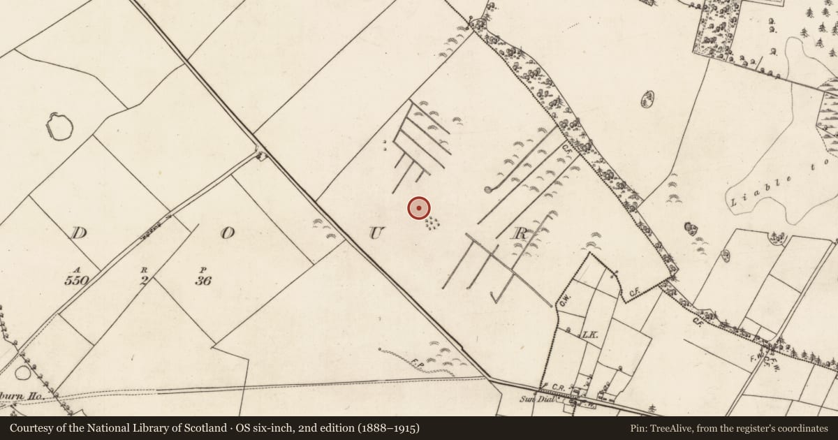 Ordnance Survey six-inch map, 2nd edition (1888–1915) covering the location of Children's burial ground, Ardour, County Galway, with a pin at the register's coordinates