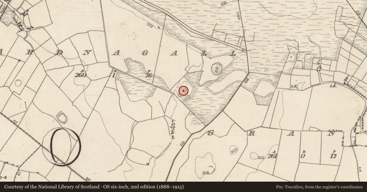 Ordnance Survey six-inch map, 2nd edition (1888–1915) covering the location of Ringfort - rath, Ardnagall, County Galway, with a pin at the register's coordinates
