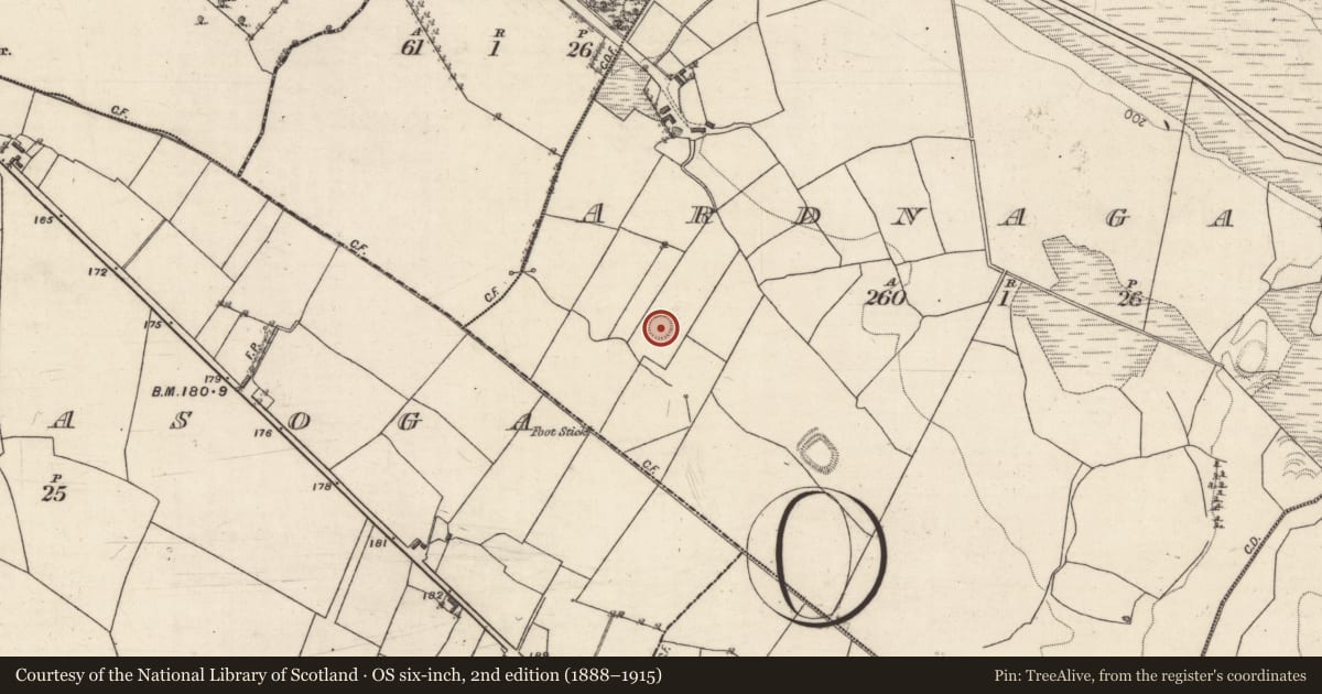 Ordnance Survey six-inch map, 2nd edition (1888–1915) covering the location of Ringfort - rath, Ardnagall, County Galway, with a pin at the register's coordinates