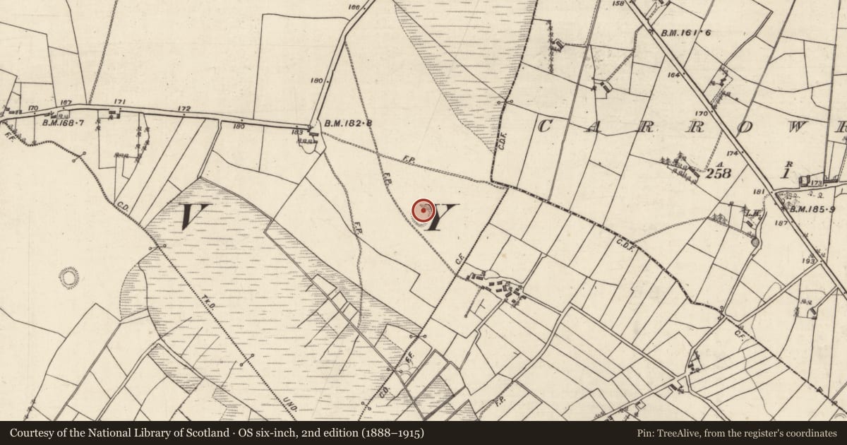 Ordnance Survey six-inch map, 2nd edition (1888–1915) covering the location of Ringfort - rath, Banagher, County Galway, with a pin at the register's coordinates